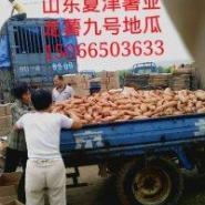 開(kāi)封1元商品批發(fā)