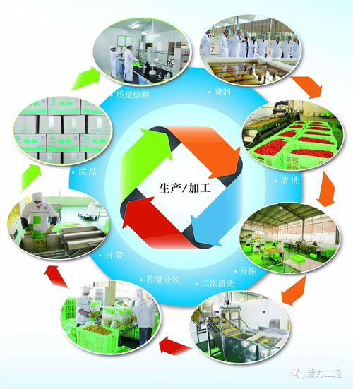 組織會員單位參加二連浩特邊民互市貿(mào)易區(qū)商品展銷會，推動商品零售貿(mào)易發(fā)展